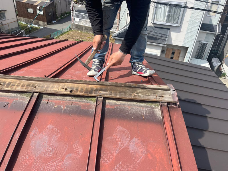 棟板金撤去後の貫板腐食状況と内部の雨水浸入跡