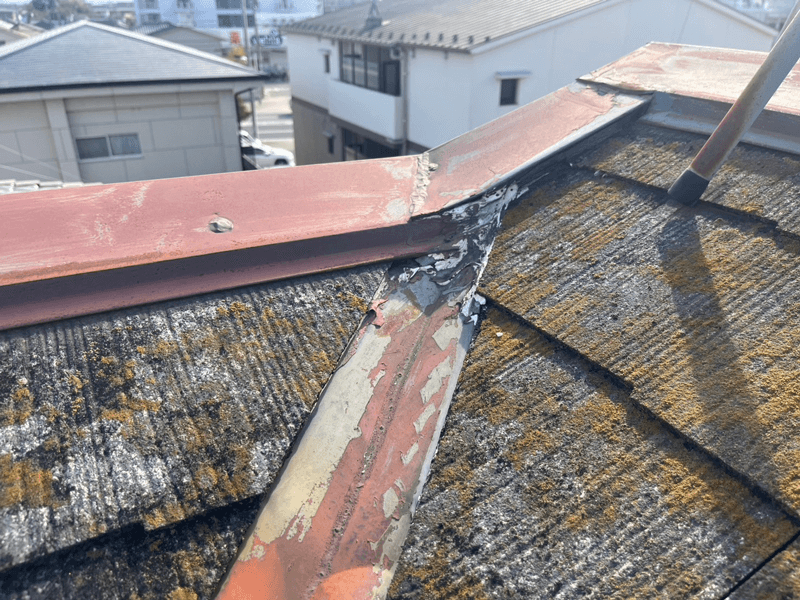 スレート屋根コケ繁殖・防水性能低下・経年劣化の写真