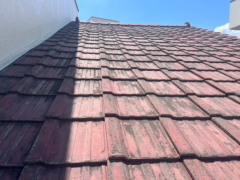 劣化したセメント瓦屋根全体の状態を確認している様子