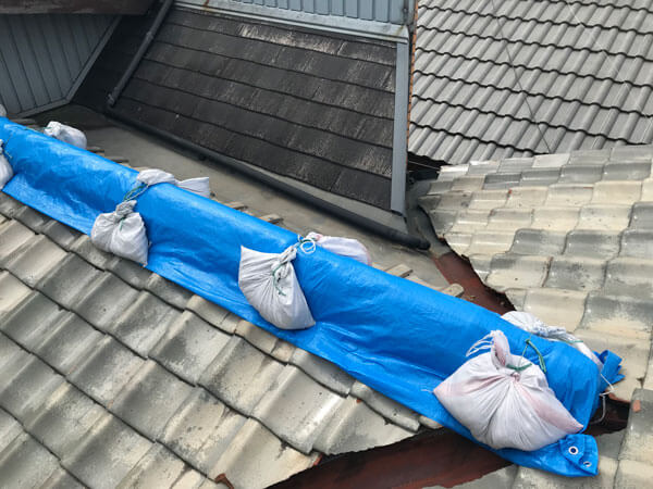 ブルーシートを土のうで固定した応急養生の様子