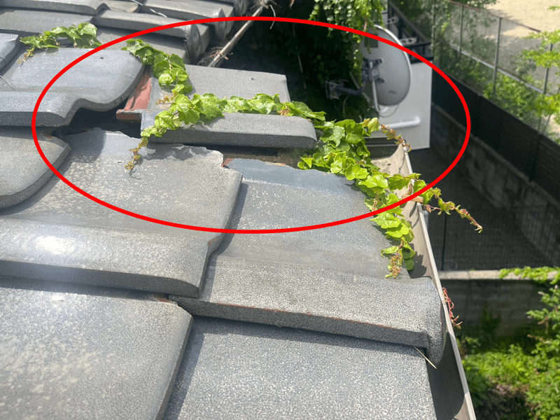 瓦のズレと欠落が見られる瓦屋根