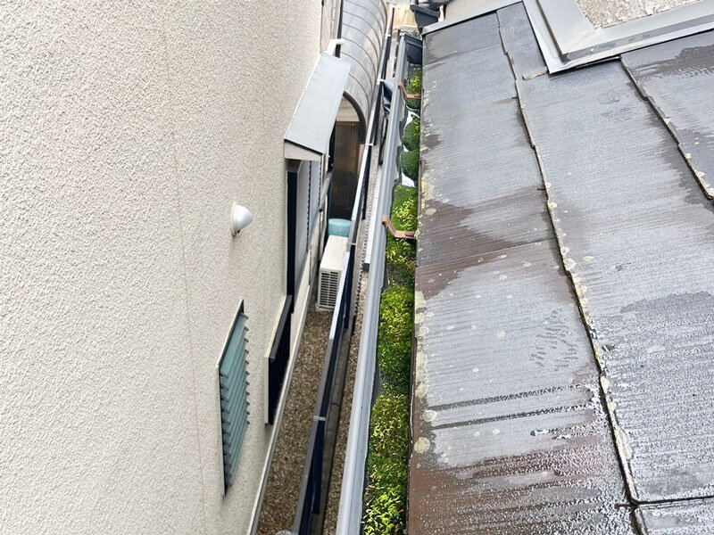 雨樋内部に土や苔が詰まり排水不良を起こしている状態