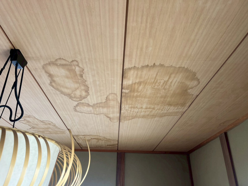 2階和室の天井に雨漏りシミが広がっている写真