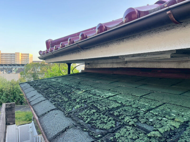 経年劣化したアスファルトシングル劣化状況