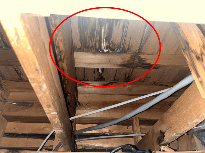 ユニットバス天井の点検口から確認したベランダ雨漏りの浸水跡