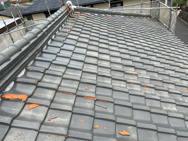 屋根面全体を斜めから見た様子