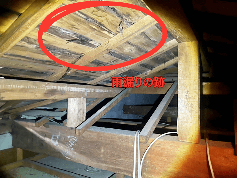 屋根裏で雨漏りの跡を確認している写真