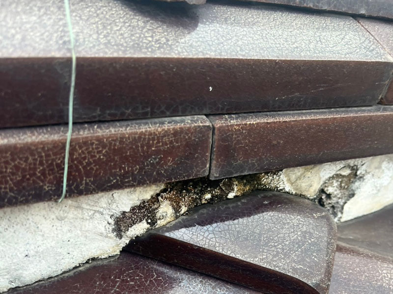 瓦屋根の漆喰に苔が発生している状態の写真