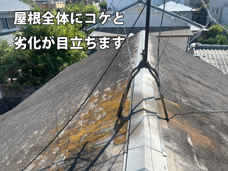 コロニアル屋根全体にコケと劣化が発生している状態