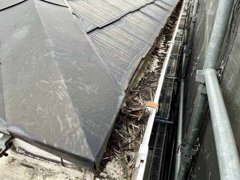 落ち葉や泥が詰まって機能していない雨どいの様子。