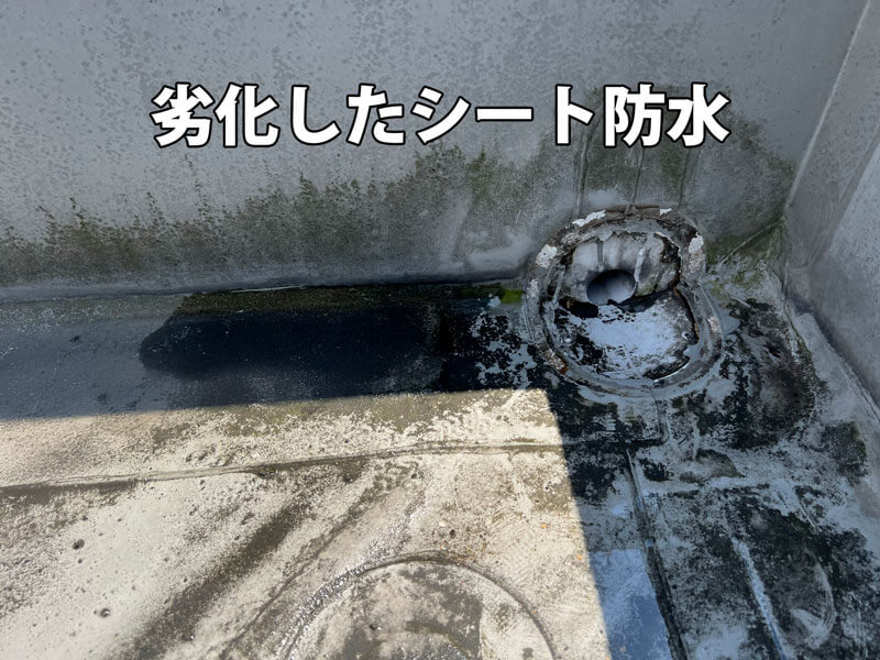 劣化したシート防水の写真。